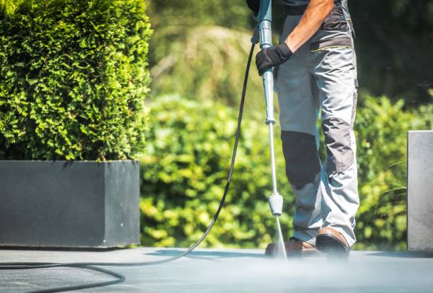 Best Driveway Pressure Washing  in Greenfield, MN