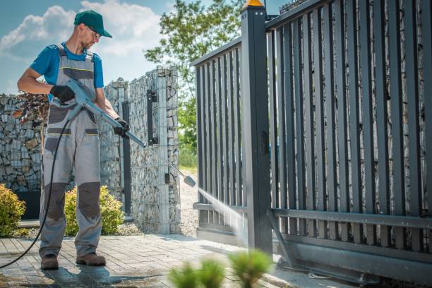 Best Roof Washing  in Greenfield, MN