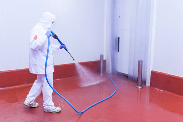 Best Sidewalk and Walkway Cleaning  in Greenfield, MN